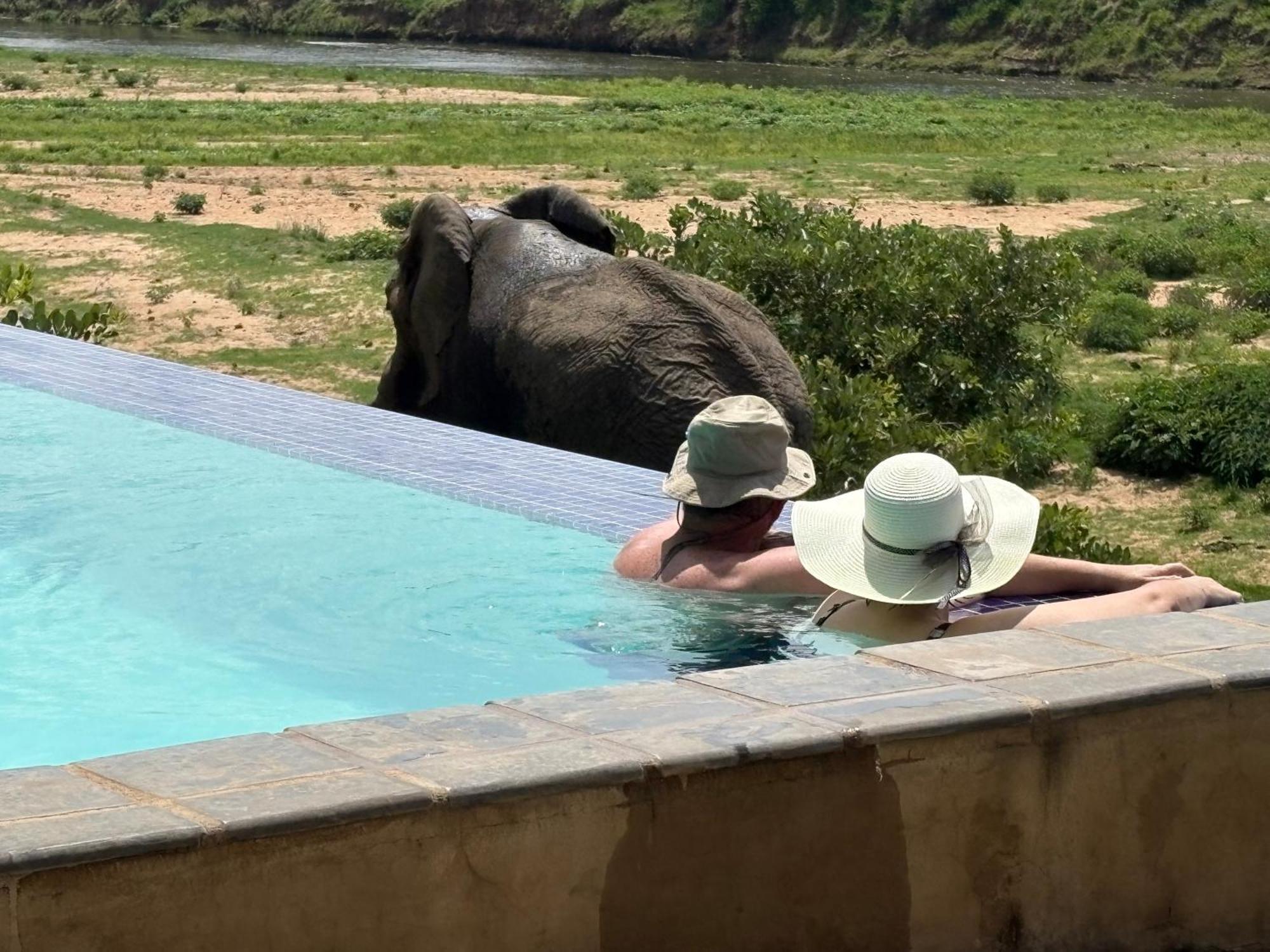 Rio Vista Lodge Malalane Eksteriør bilde